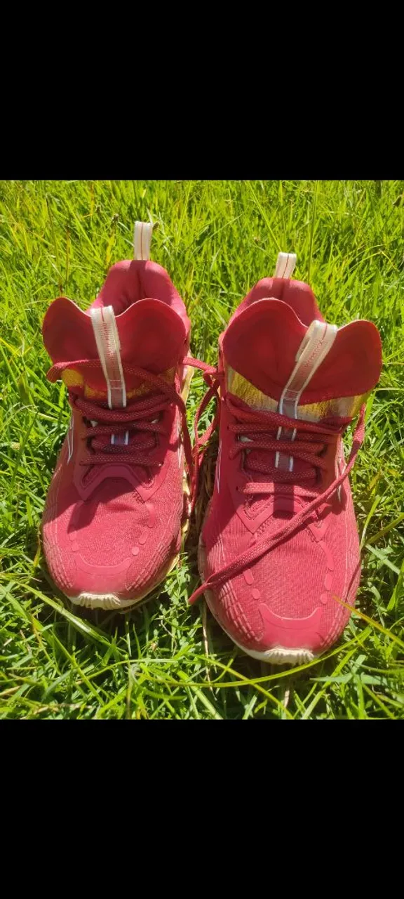Tênis Mizuno Profency 10 vermelho