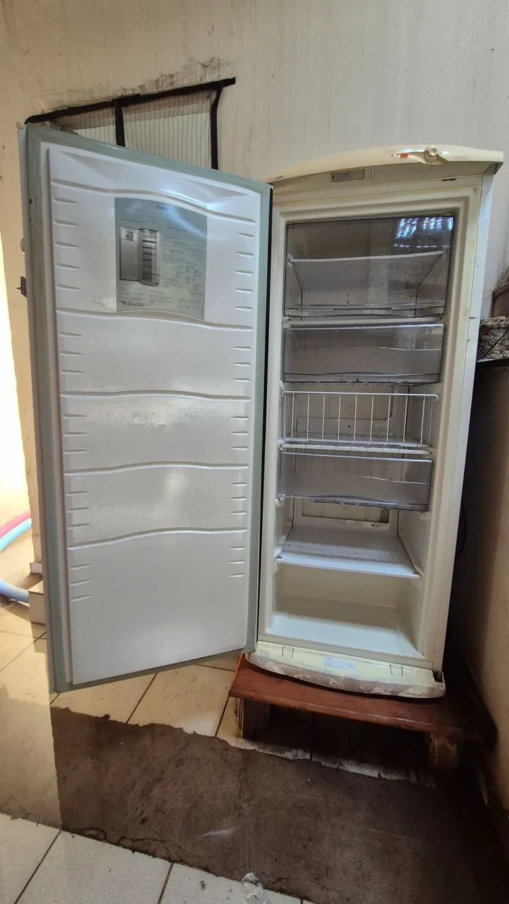 Freezer Consul 110v 231L vertical