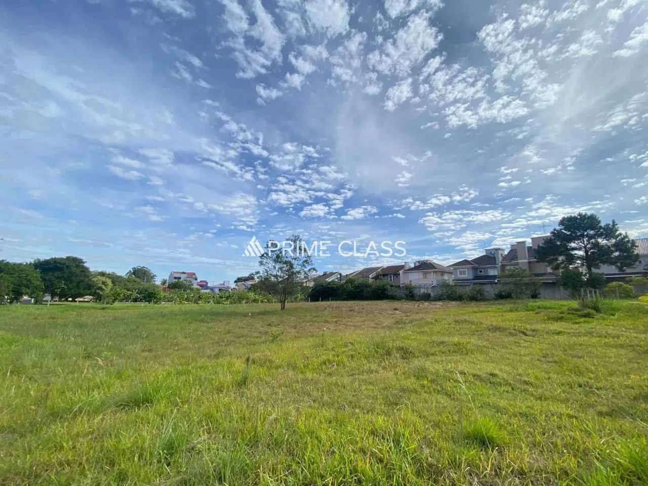 Terreno no Igara - Foto 2