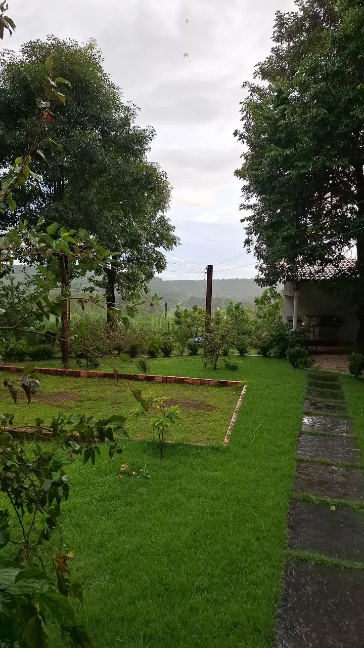 Vendo Sitio povoado Felicidade município de José de Freitas