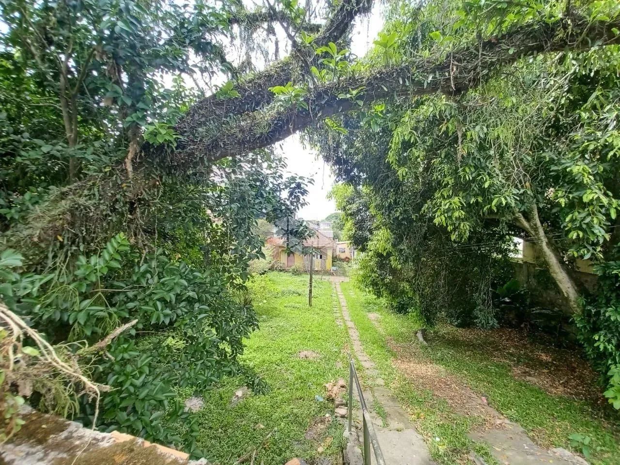 Terreno com 771,64m² de área privativa na Igara / Canoas - Foto 9