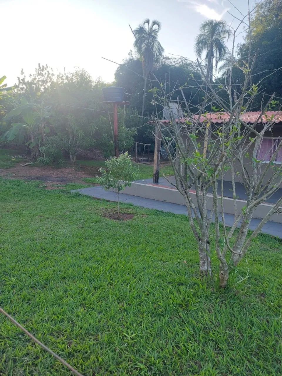 Vendo Chácara na Água boa - Foto 4