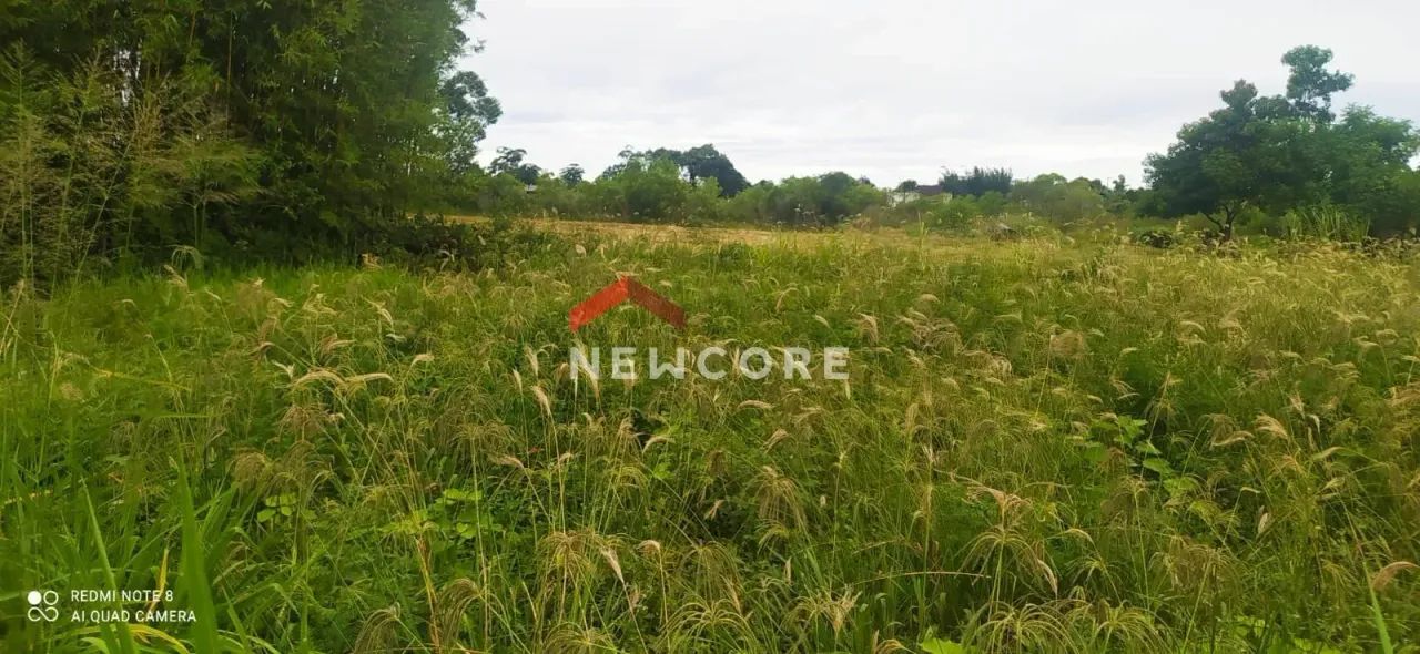 Lote em Rua 41227 - Ibiraquera - Imbituba/SC - Foto 6