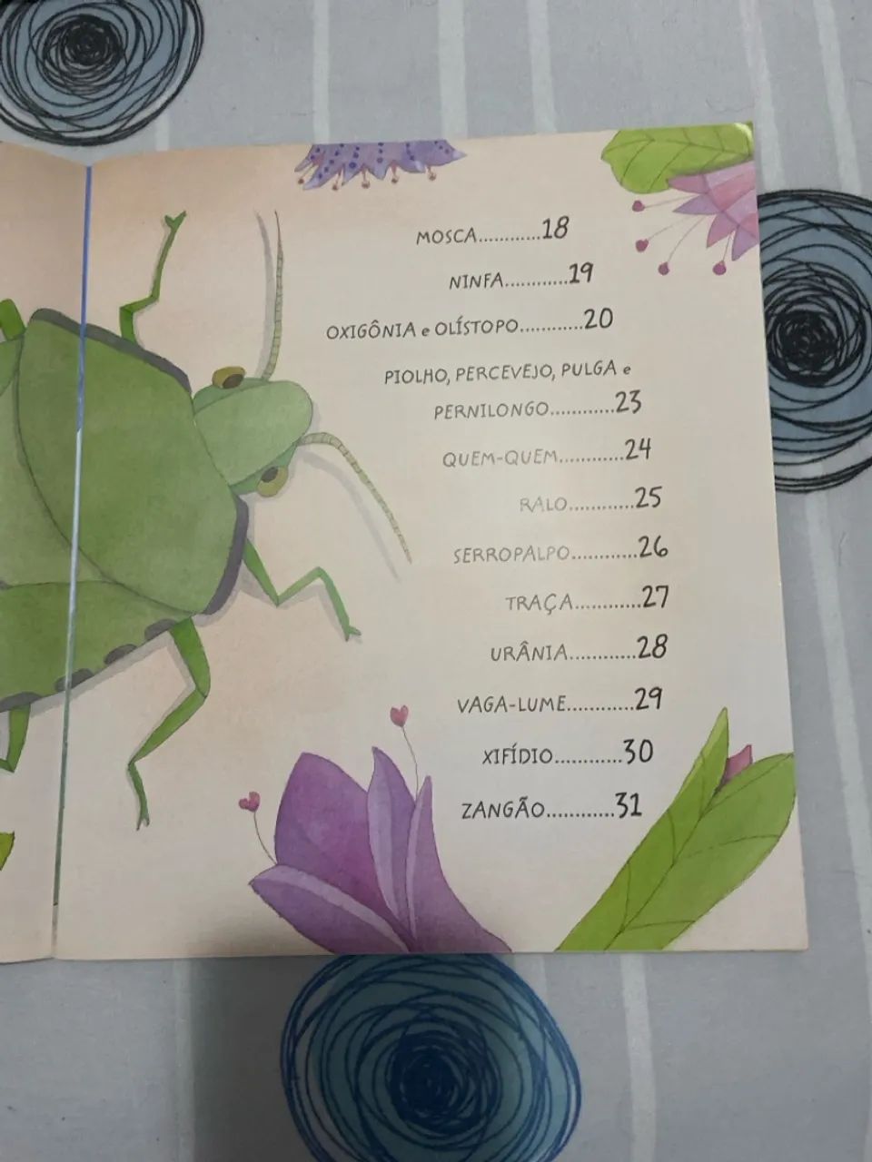 CIRANDA DOS INSETOS - Foto 4