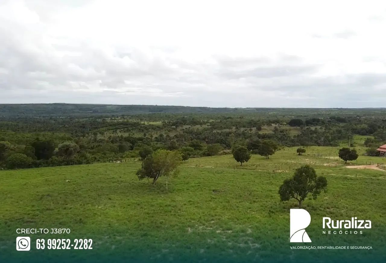 Lizarda - TO Região de Lizarda - TO nas margens da rodovia, 5 km da cidade - Foto 4