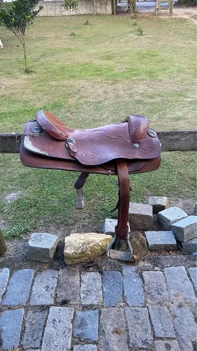 Sela americana ME traias - Foto 6