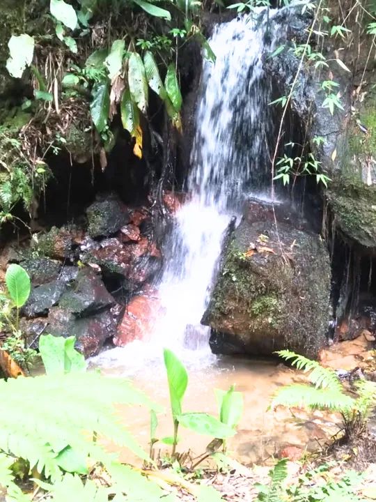 Oportunidade Imperdível em Angelina - SC!