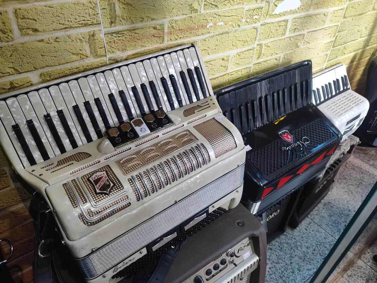 Acordeon michael - Foto 2