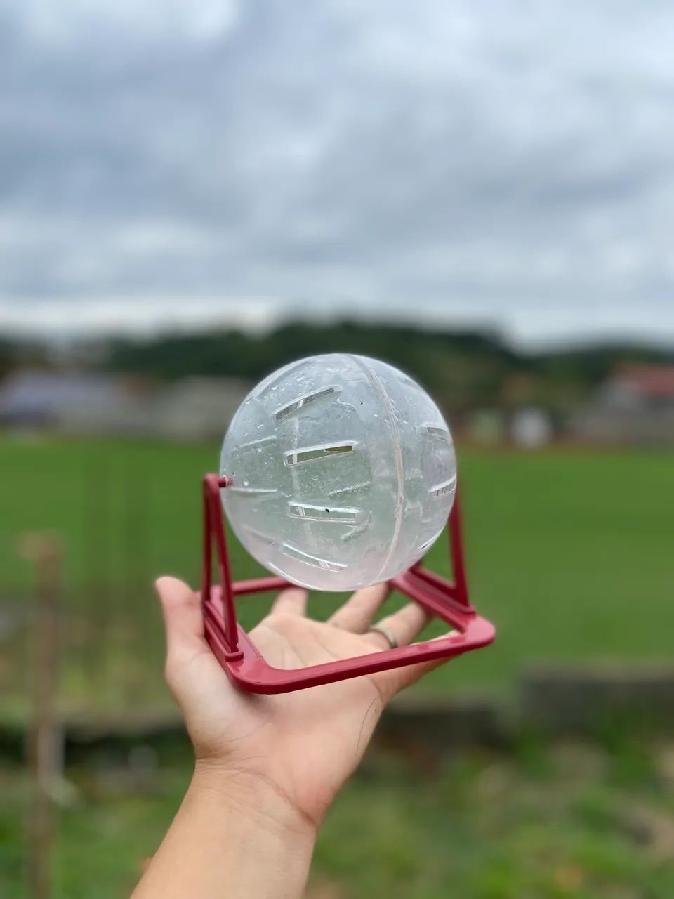 Gaiola e bola transparente Hamster - Foto 5