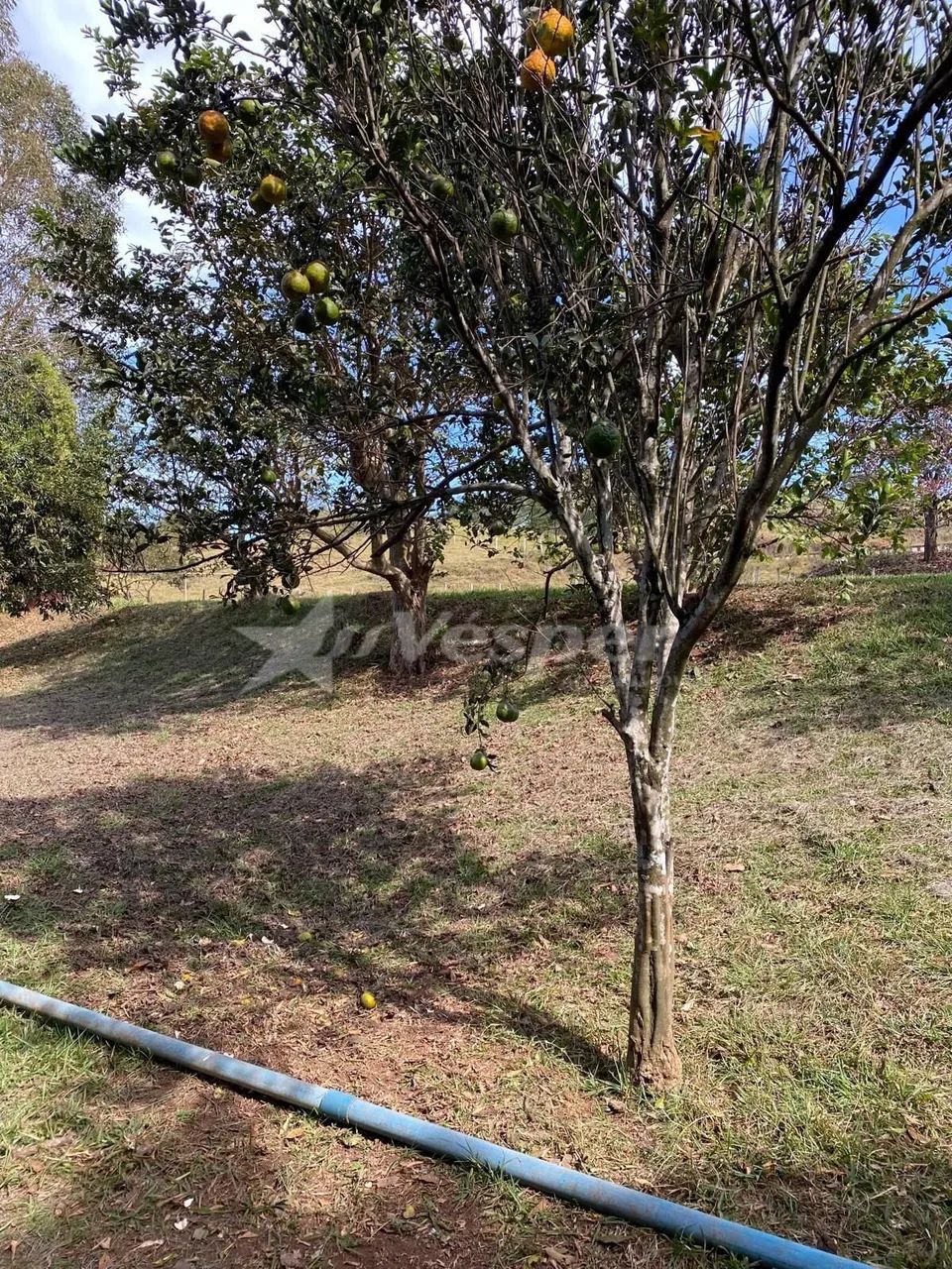 Área à venda em Nova Veneza/GO - Foto 2