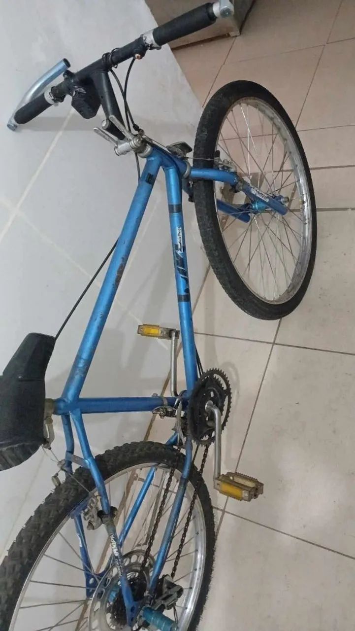 Bicicleta 