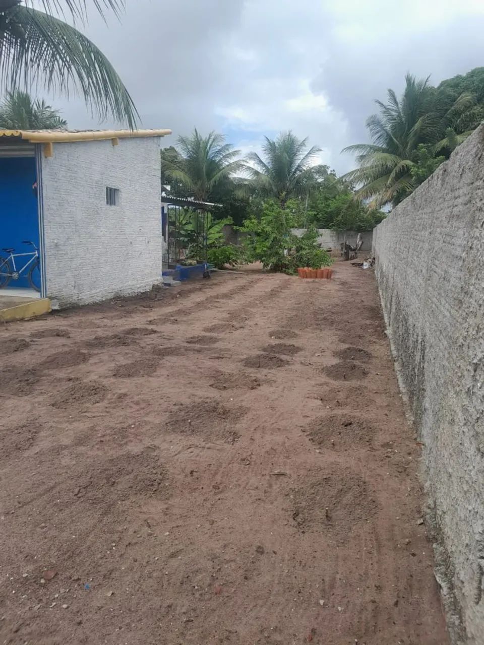 Foto - São Gonçalo do Amarante - Jardins