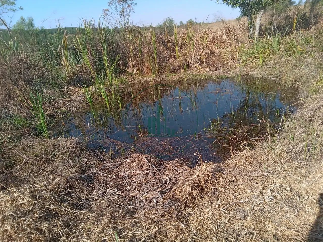 Lotes Chácaras Primavera - São Pedro - Foto 3