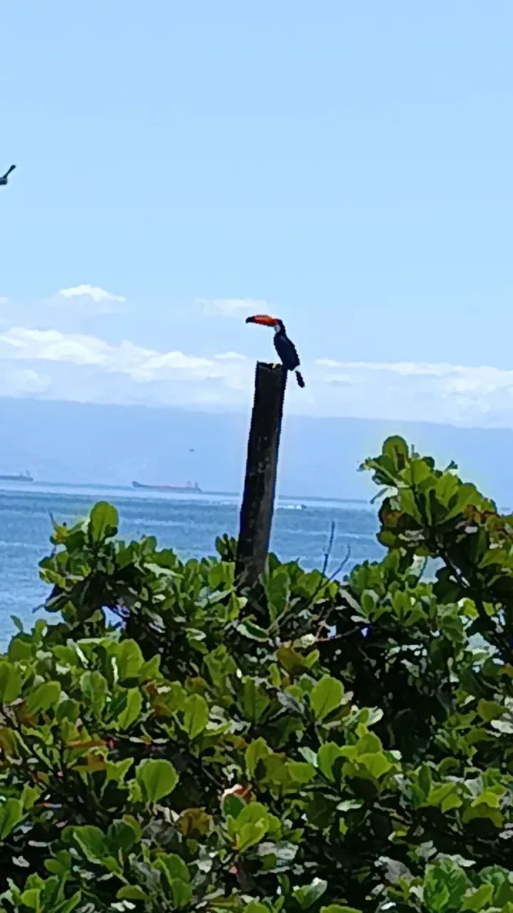 Pousada Paradisíaca - Foto 5