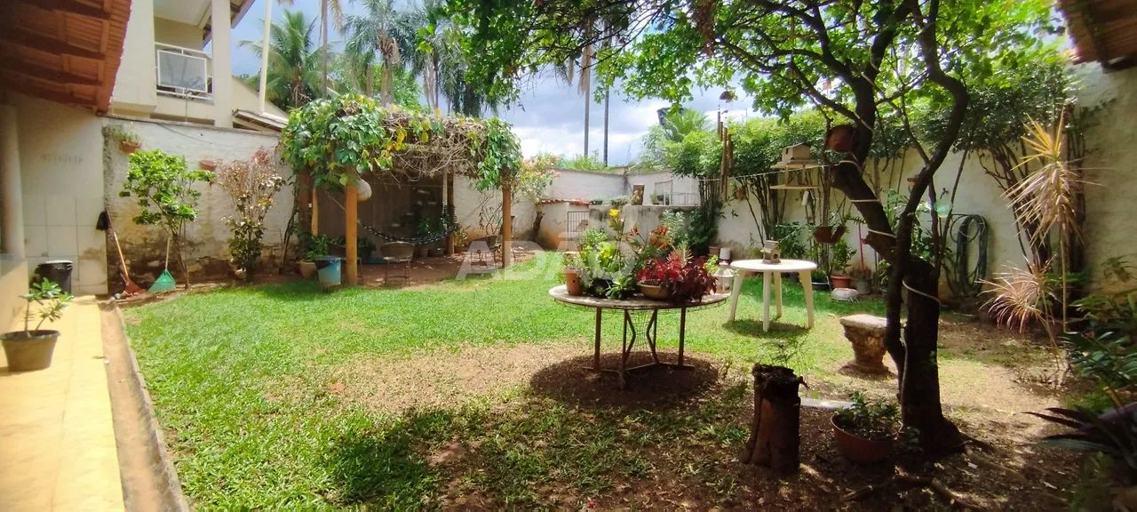 Casa Térrea sozinha no lote 4 quartos com suite quintal - Foto 4