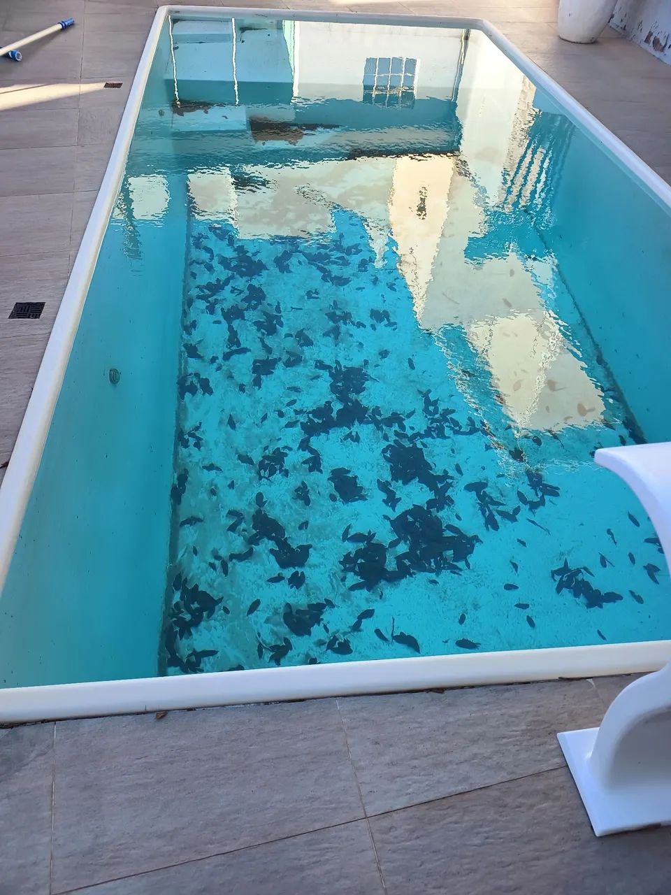 Limpeza e manutenção de piscinas  - Foto 2
