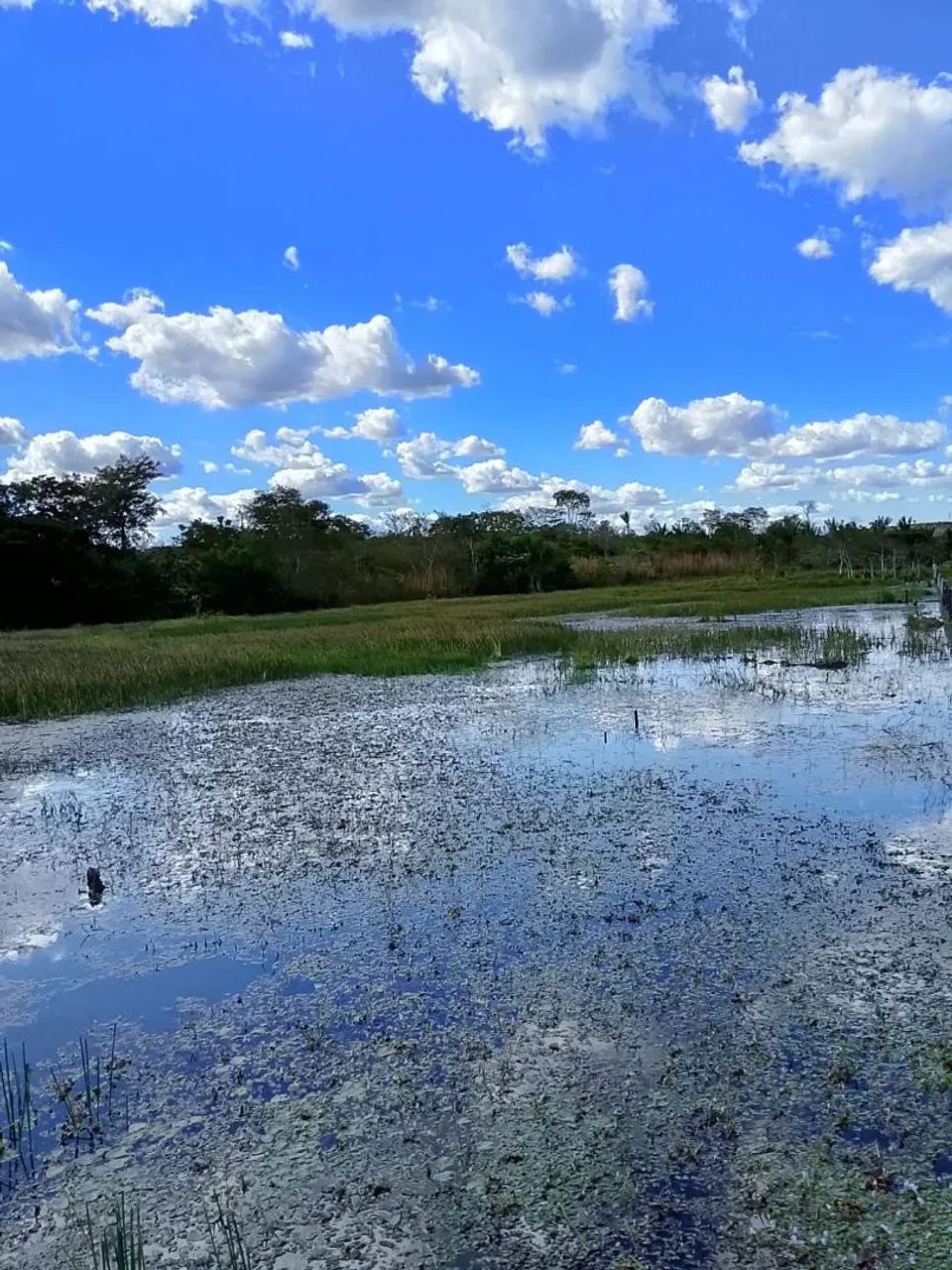 Vende-se Chácara  - Foto 5
