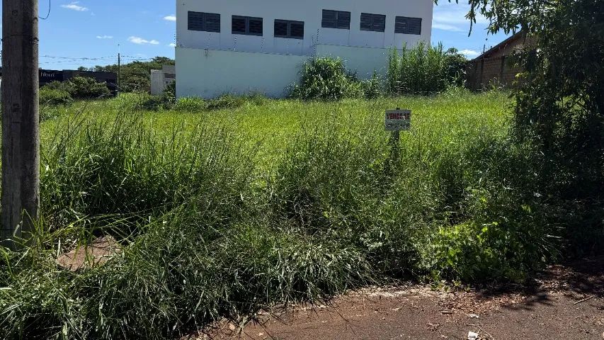 Foto - Sertãozinho - Jardim Venezza