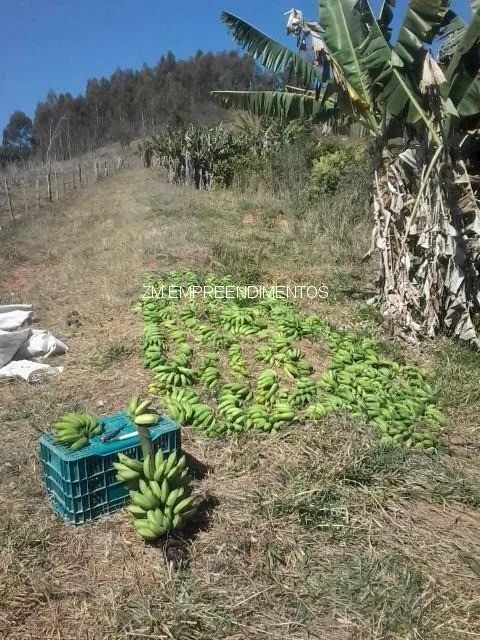 sítio - Zona Rural - Caconde - Foto 3