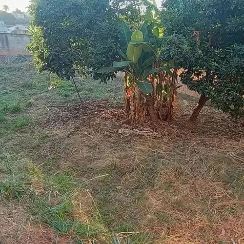 Excelente Lote em São Benedito área comercial. - Foto 5