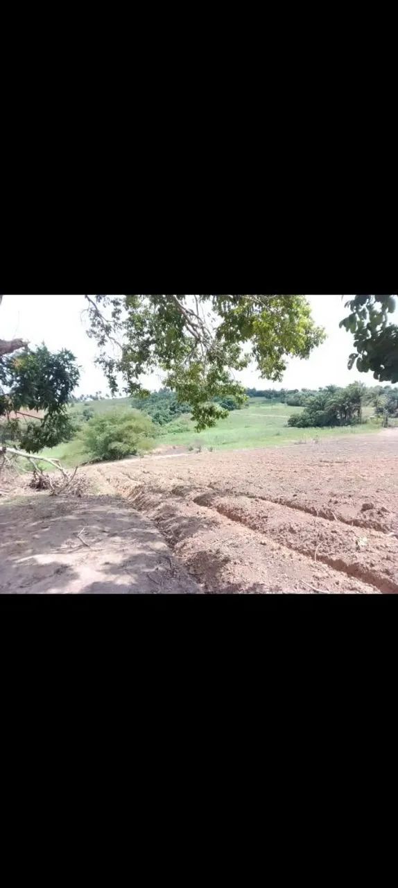GRAJA EM PRÓXIMO HÁ ALHANDRA - Foto 3