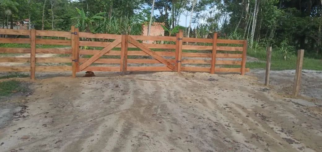 Terreno com igarape km28 - Foto 2