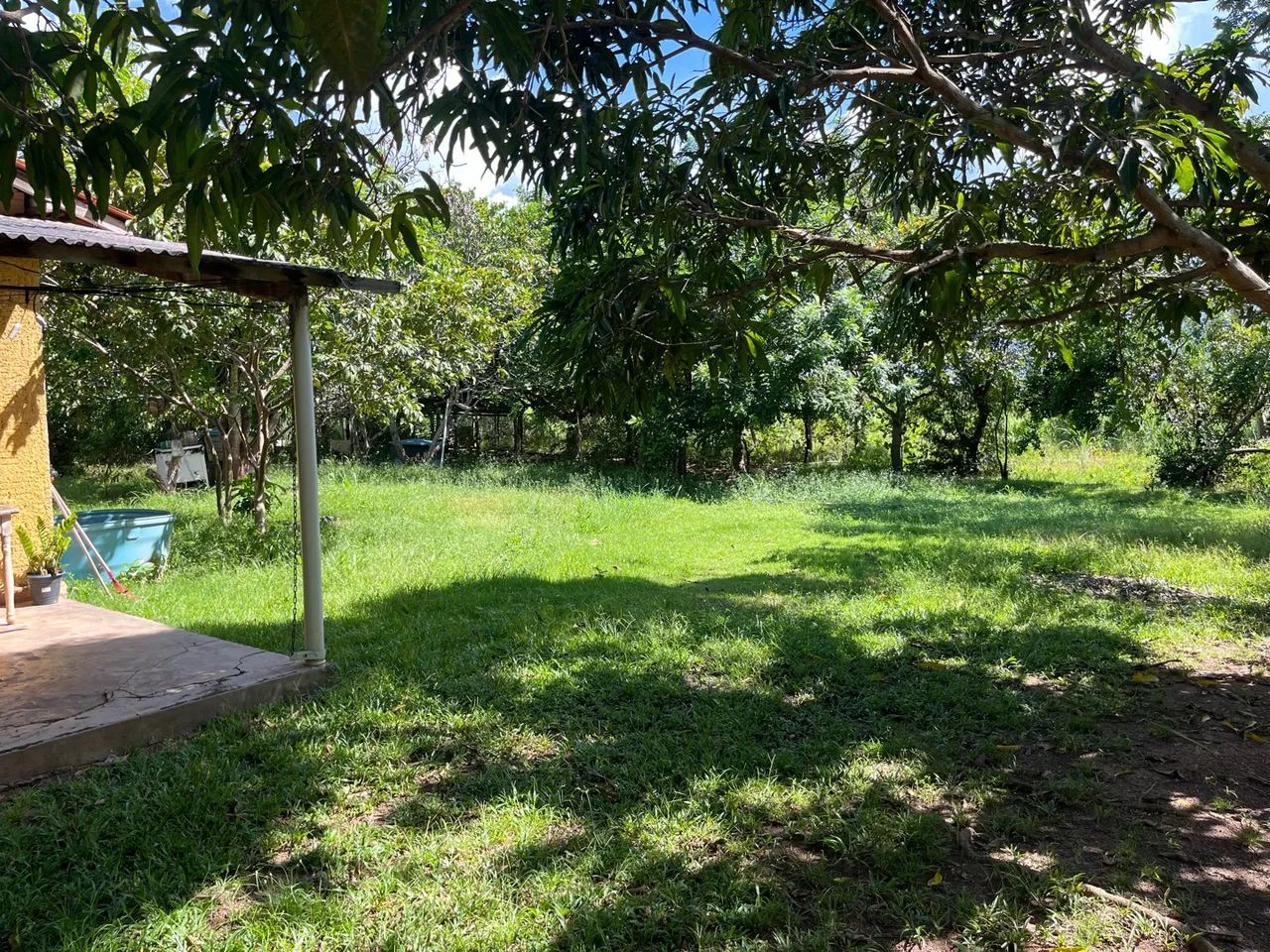 Sítio próximo sadia 3 - Foto 2