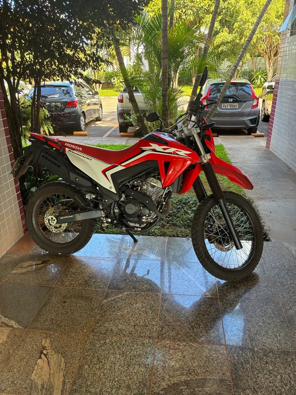 Única dona 