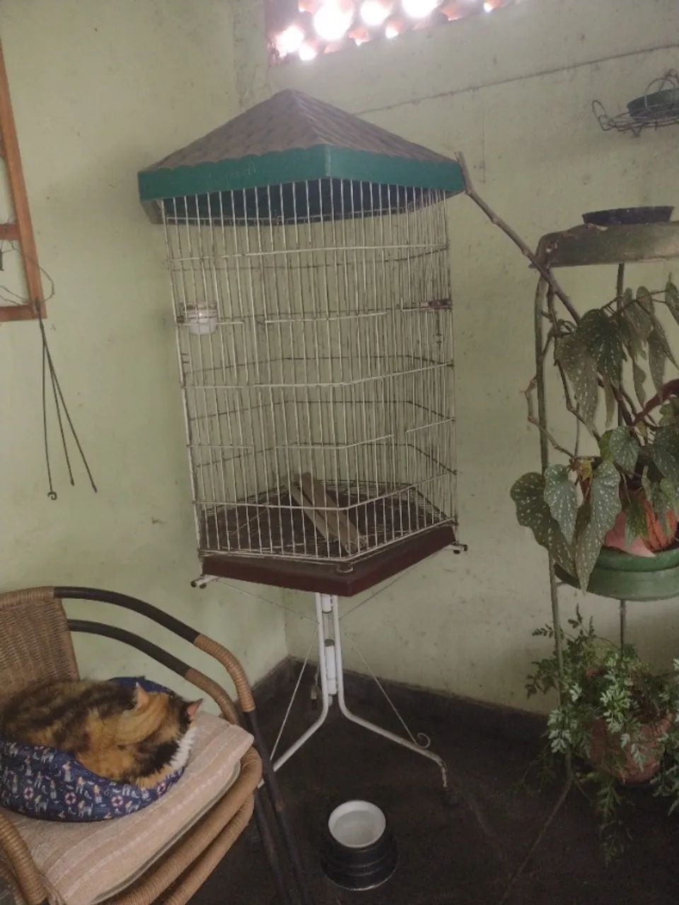 Viveiro para pássaros sextavado 