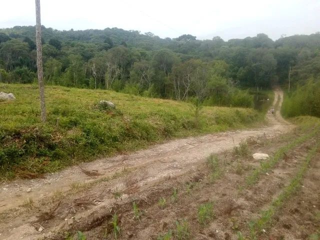 OPORTUNIDADE! TERRENO PARA PROJETOS DE CHACARAS  - Foto 5
