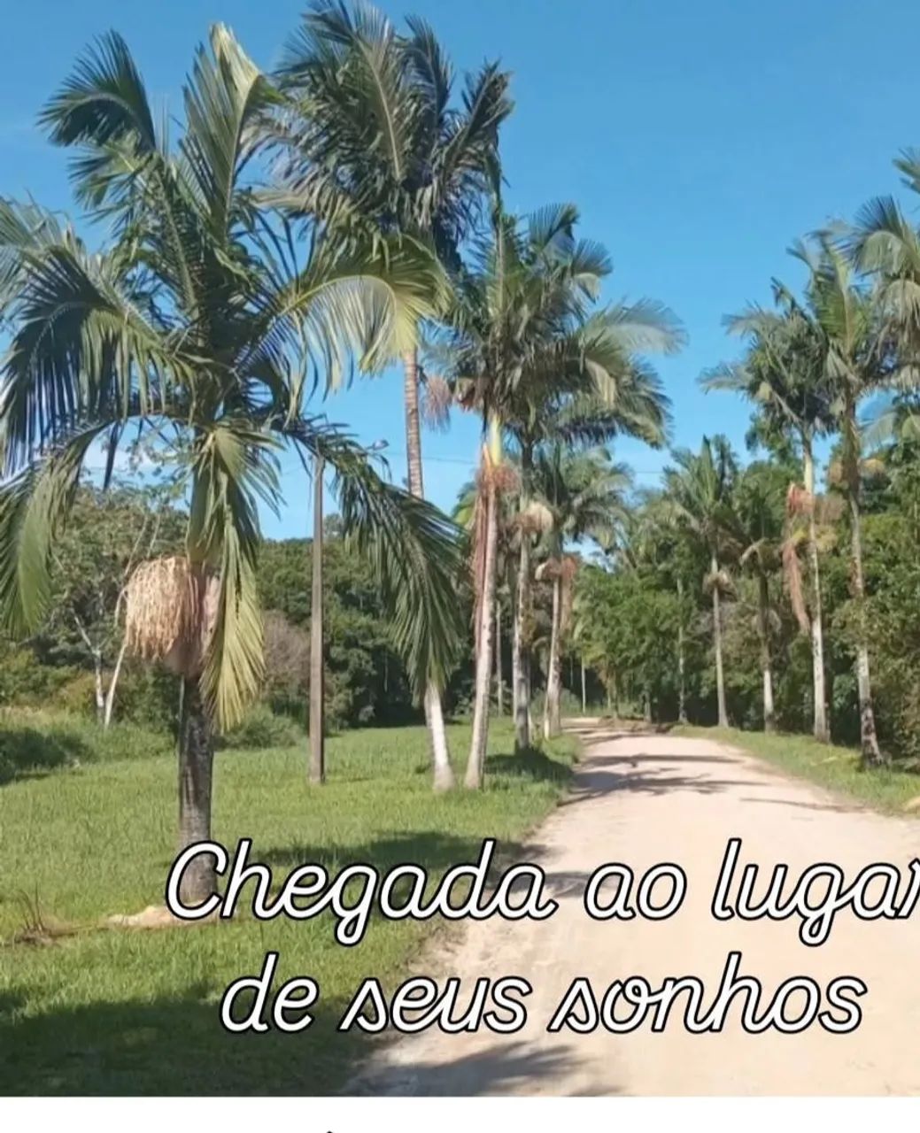 Foto - Iguape - 