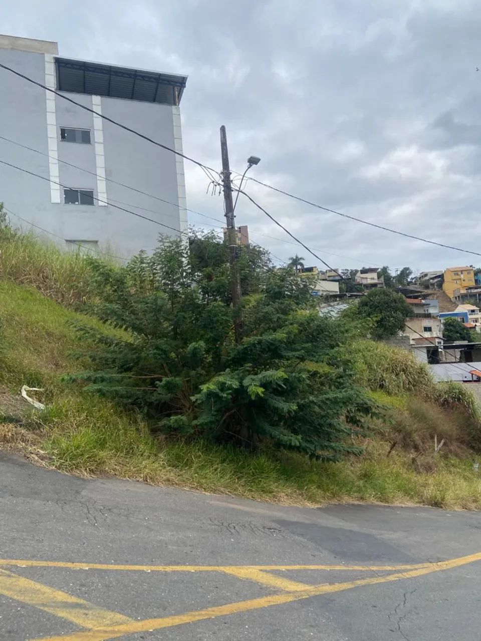 Soluções verde  - Foto 2