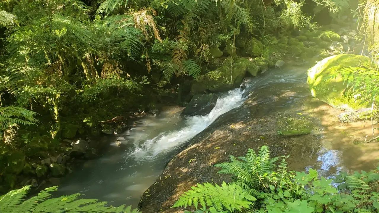 12 Km do centro da cidade, 2 Hectares de Pura Tranquilidade com Chalés e Casas Prontas! - Foto 4