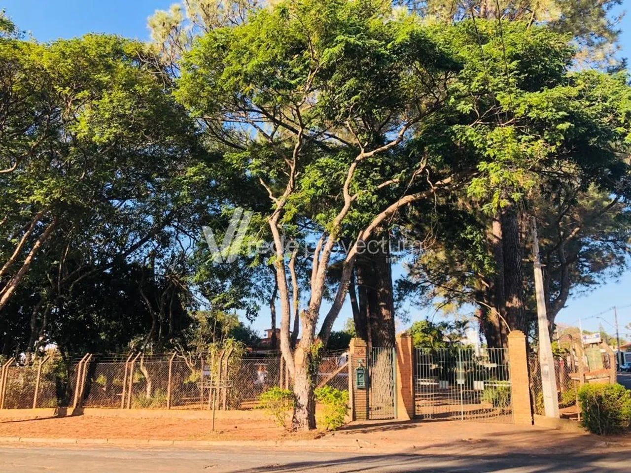 casa - Taquaral - Campinas - Foto 5