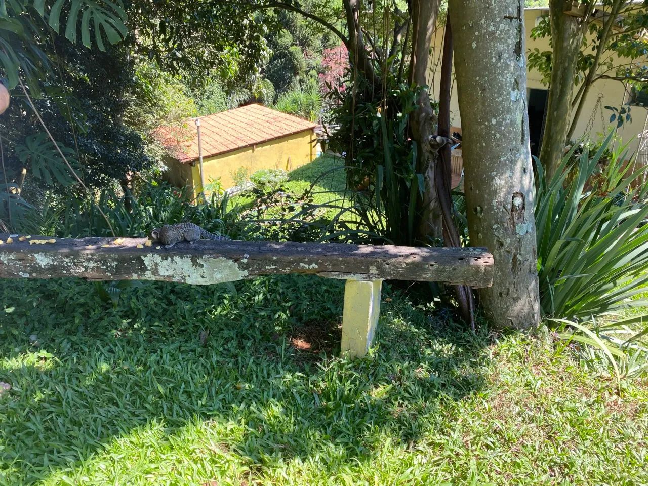 Chácara - Jaraguá - Foto 5