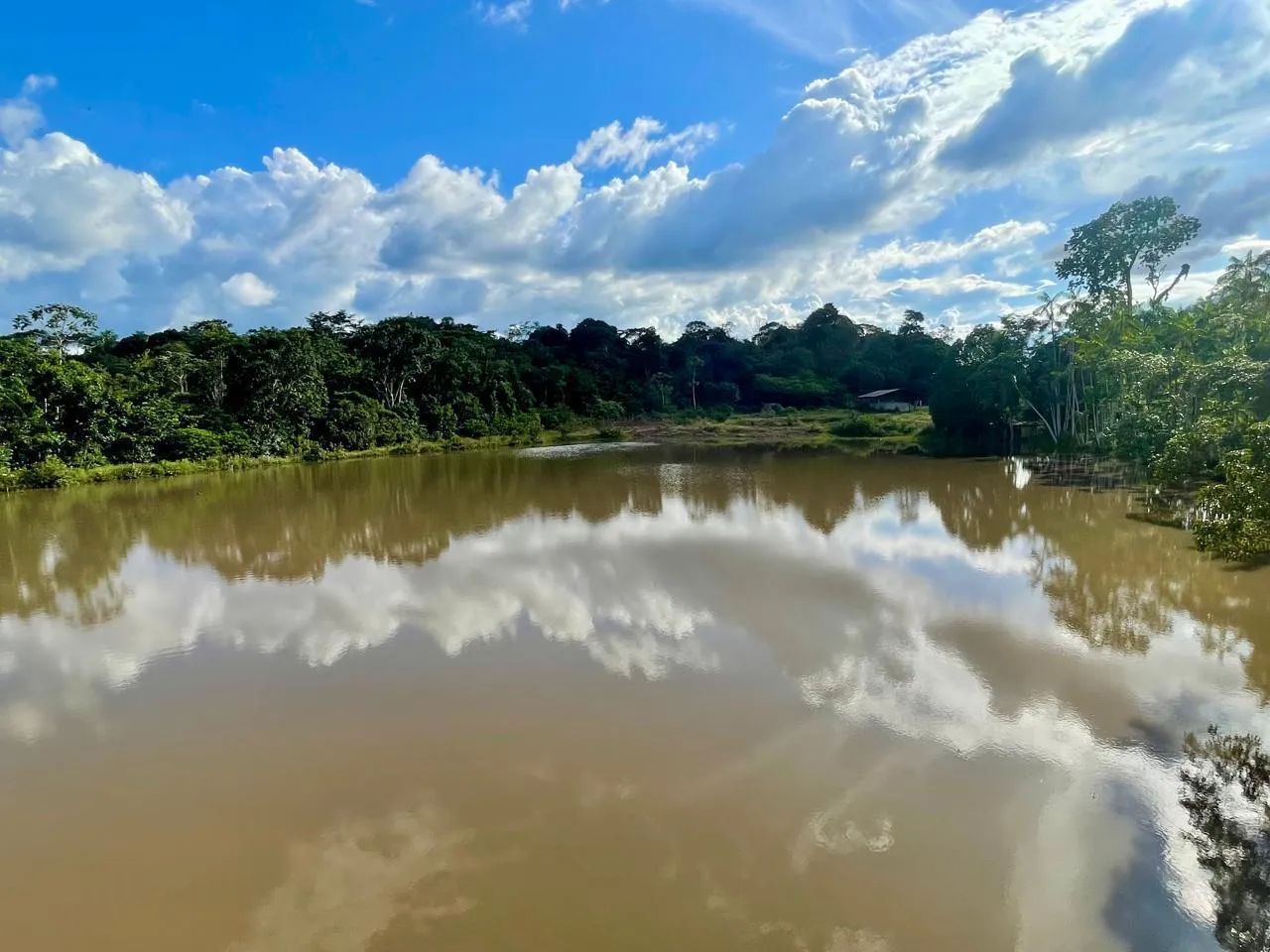 Oportunidade no Agronegócio  - Foto 2
