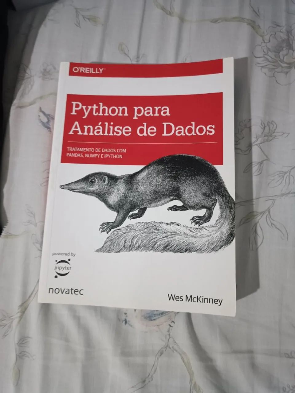 Livro python para análise de dados 