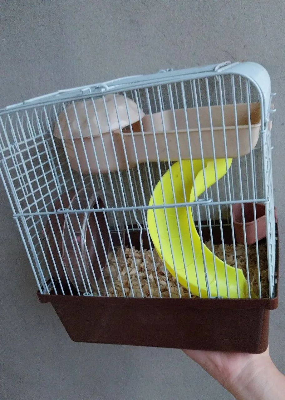 Gaiola para hamster, aceito proposta. - Foto 2
