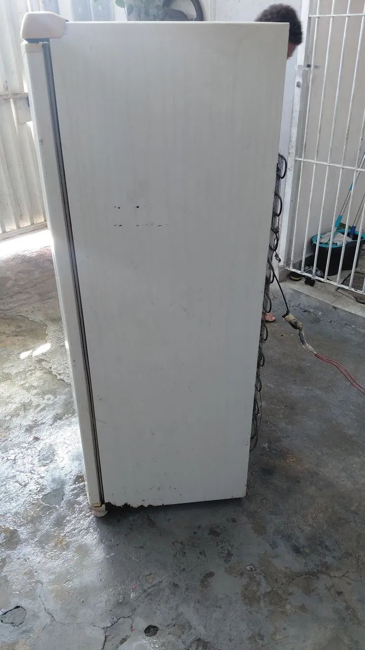geladeira consul 300l - Foto 6