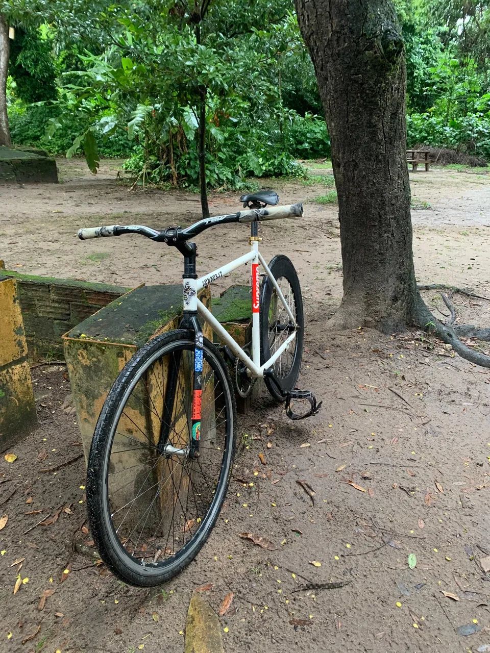 Bike Fixa Sunburst  - Foto 3