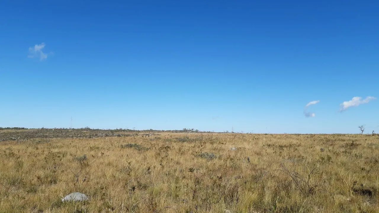 Fazenda Diamantina  - Foto 2