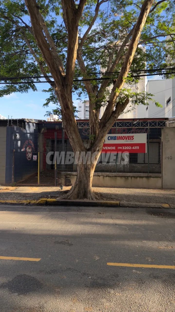 terreno - Cambuí - Campinas - Foto 3