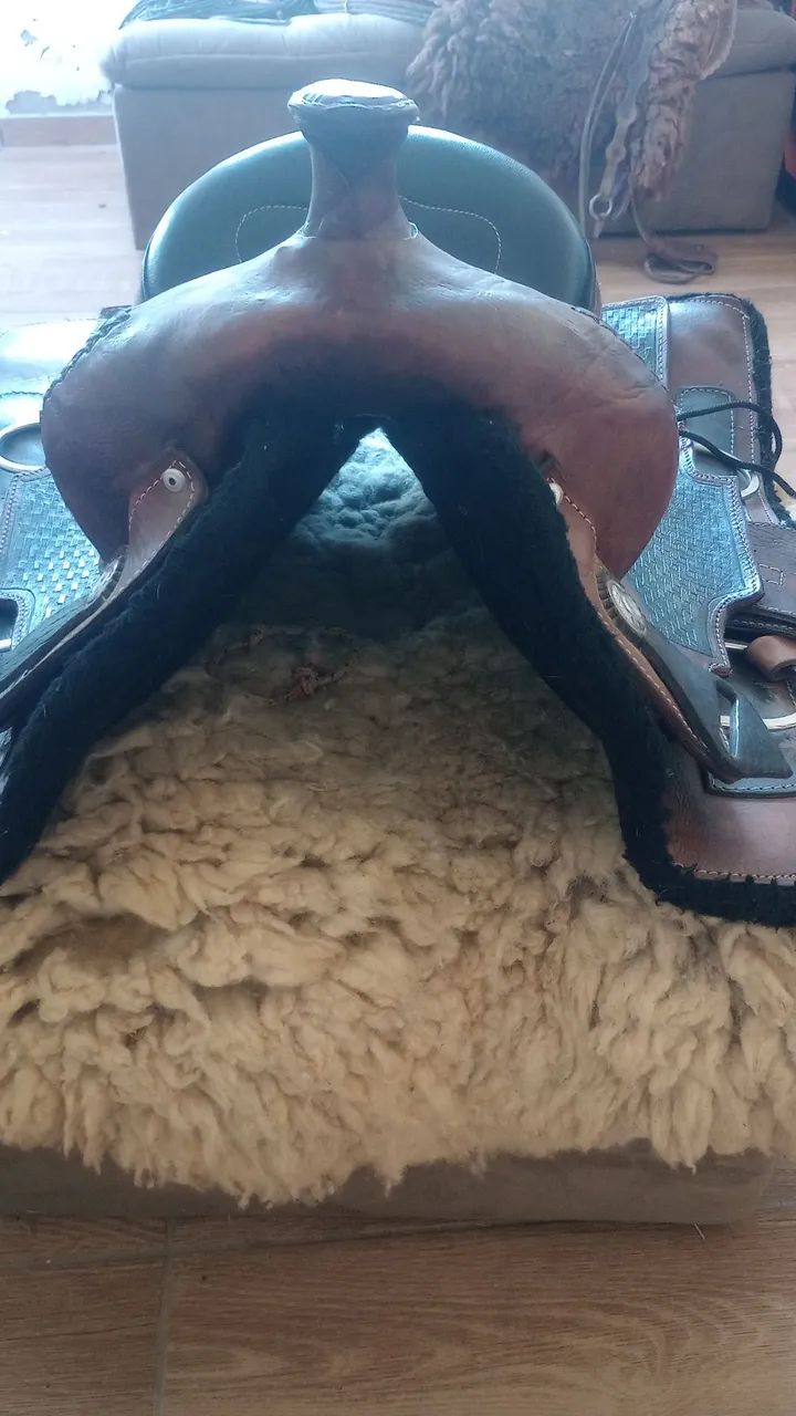 Sela americana (cavalos) - Foto 2