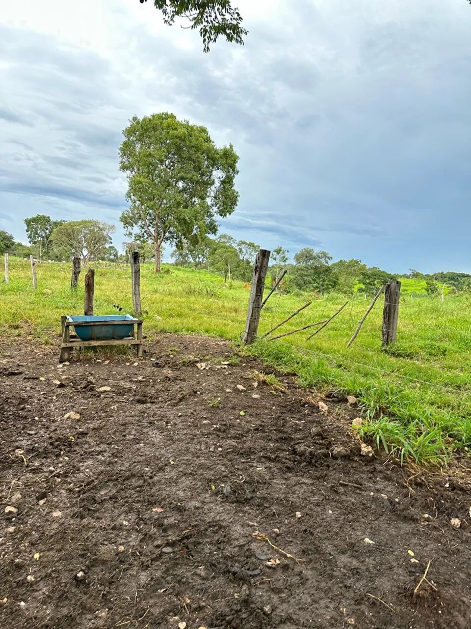 Fazenda em Barrolandia  - Foto 3