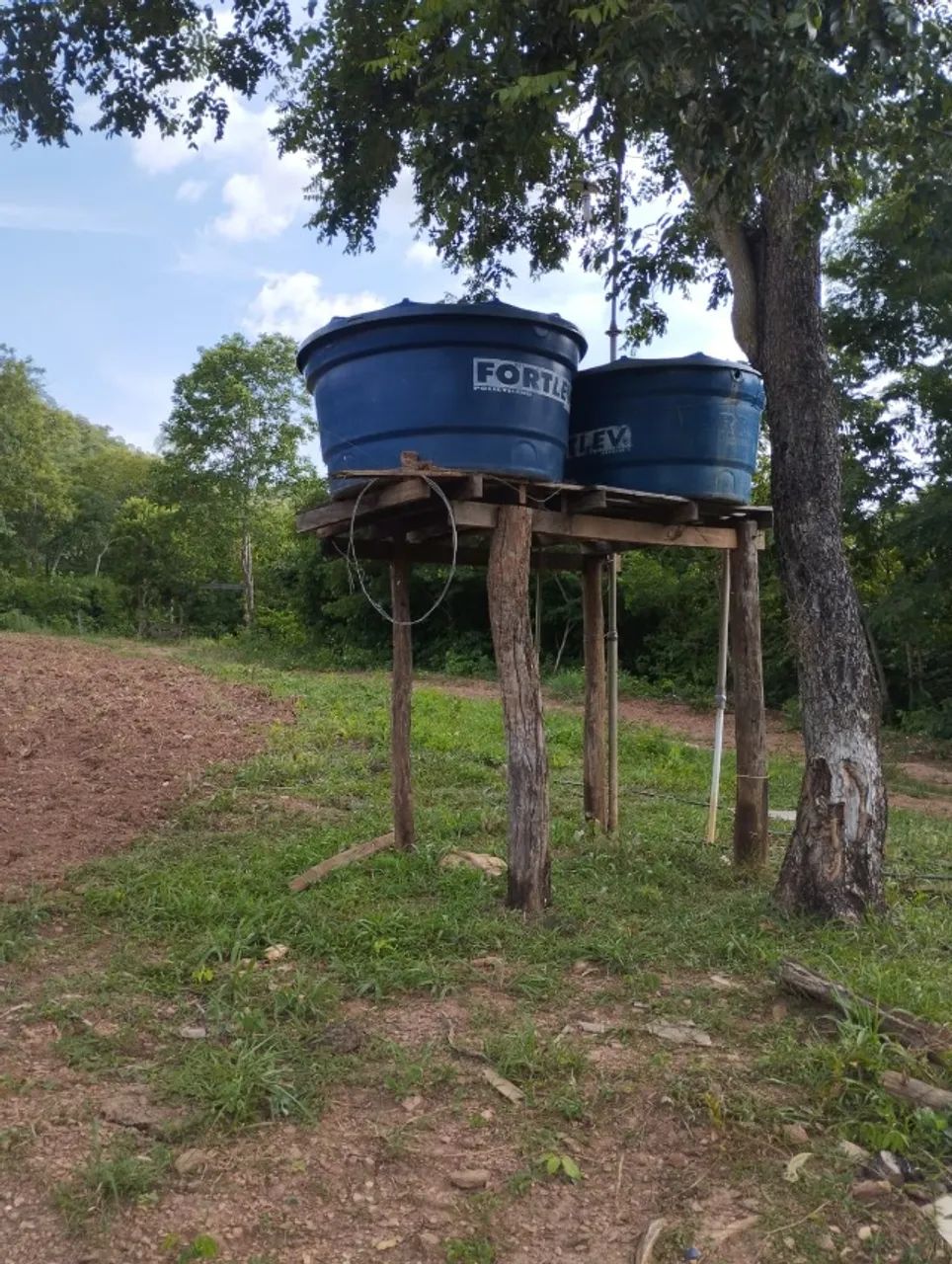 VENDE-SE UMA CHACARA COM 6 HECTARES PROX.GUIA. - Foto 3