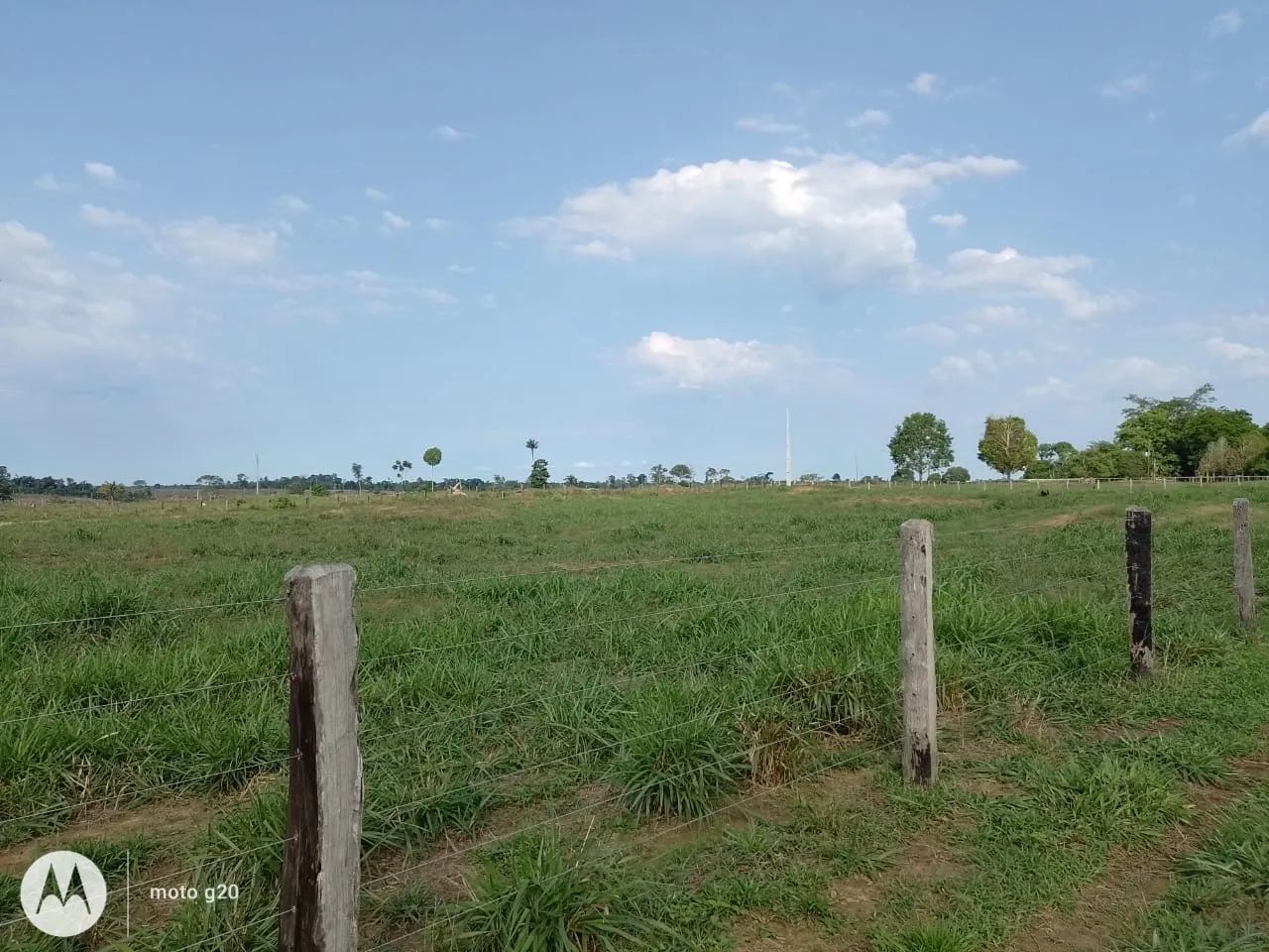 ? FAZENDA À VENDA - MACHADINHO D?OESTE/RO ? - Foto 2