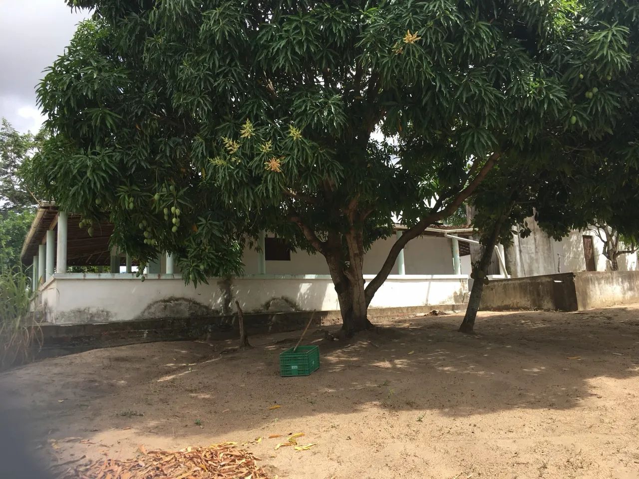 Vendo Sítio em Sobrado - Foto 2