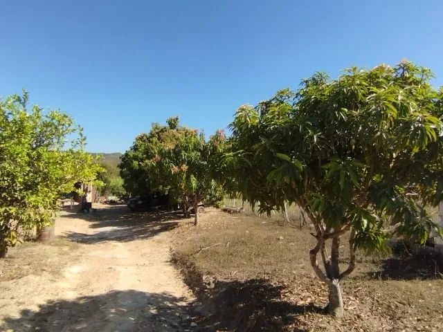 Chácara 2.500 m2 - com Casa de 3 Quartos e Córrego nos Fundos da Propriedade - Foto 4
