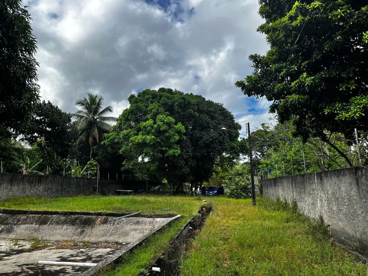 Sítio com nascente em Goiana-PE - Foto 3