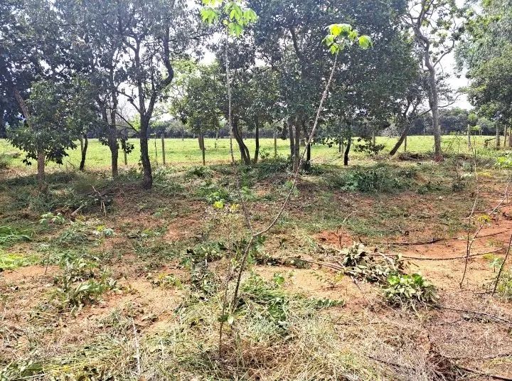 Vendo ou troco chacara em Paraopeba  - Foto 5